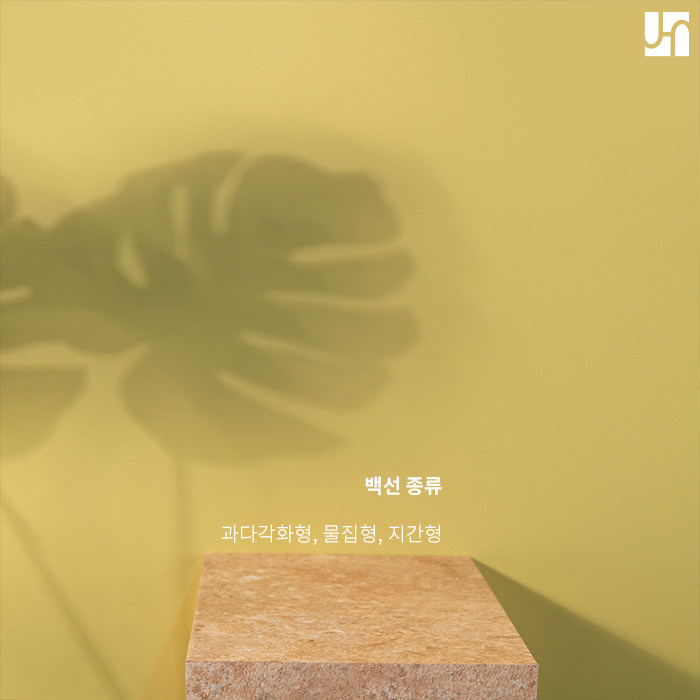 무좀이라고도 불리는 족부 백선, 핀 포인트 레이저로 해결해 봐요! 관련 이미지 2