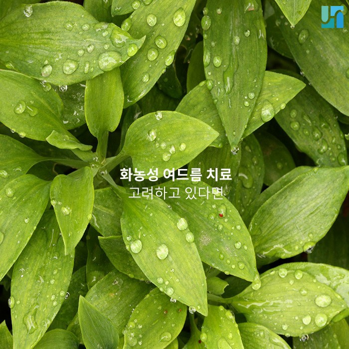 고름이 생긴 화농성 여드름 어떻게 치료해야 할까? 관련 이미지 1