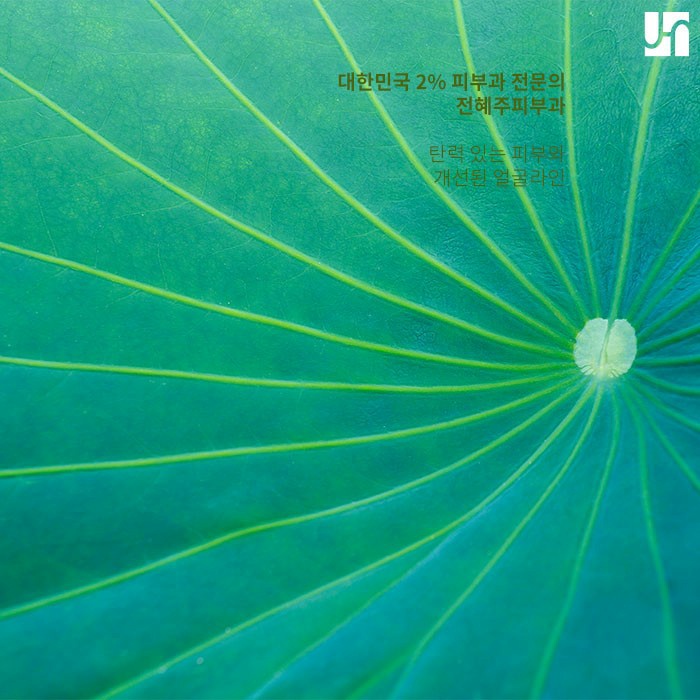 코로나 시대에 피부 재생과 면역력 증진을 위한 식습관과 생활 습관 관련 이미지 4