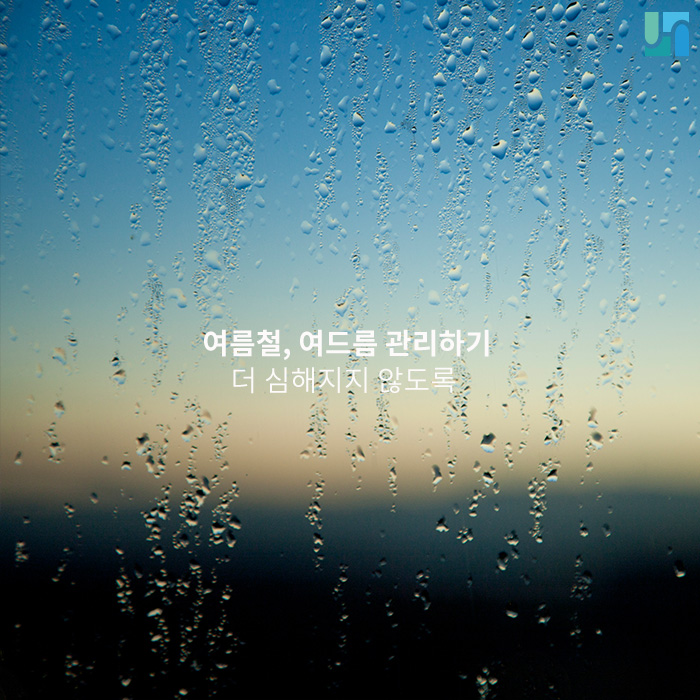 성인 여드름, 여름철에 심해질 수 있으니 주의해야! 관련 이미지 1