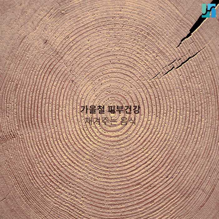 가을철 피부 건강에 좋은 음식 관련 이미지 1