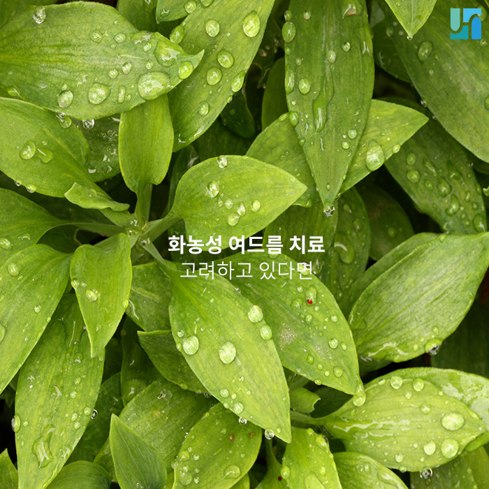 서초역 주변 피부과, 화농성여드름치료 고려하고 있다면 관련 이미지 1