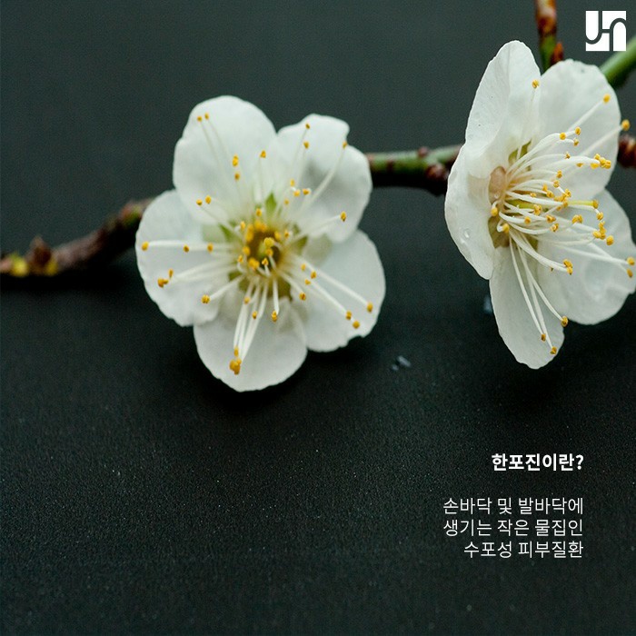 [방배동 피부과] 손가락 사이에 수포가 생겼다면? 관련 이미지 2