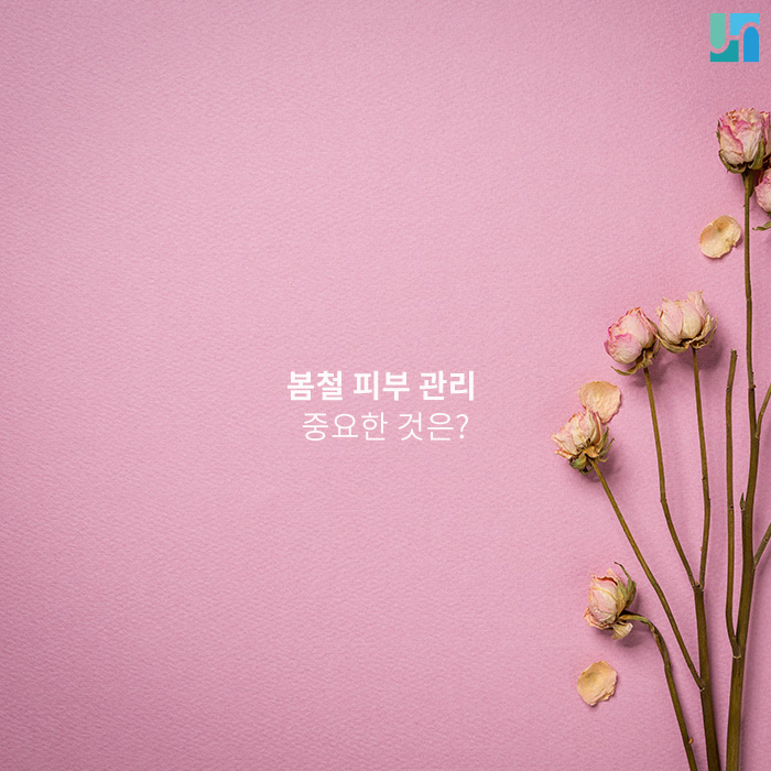 봄철 피부 관리 무엇보다 중요한 것은? 관련 이미지 1