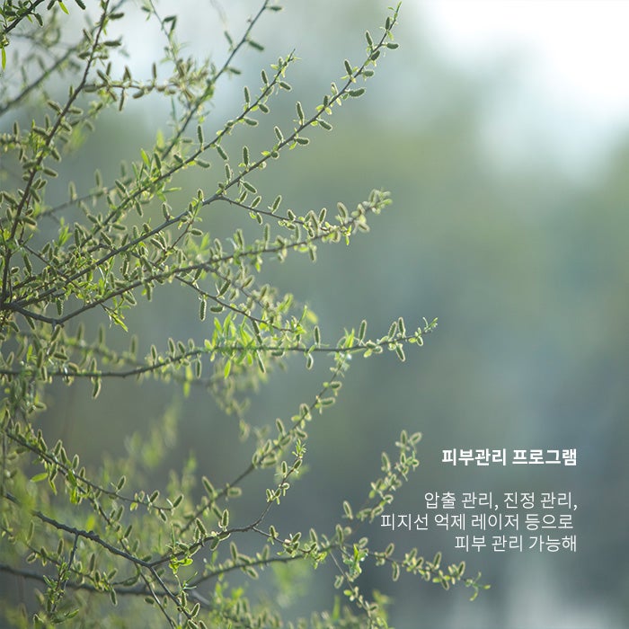 피지 분비가 많은 코, 어떻게 관리해야 할까? 관련 이미지 3