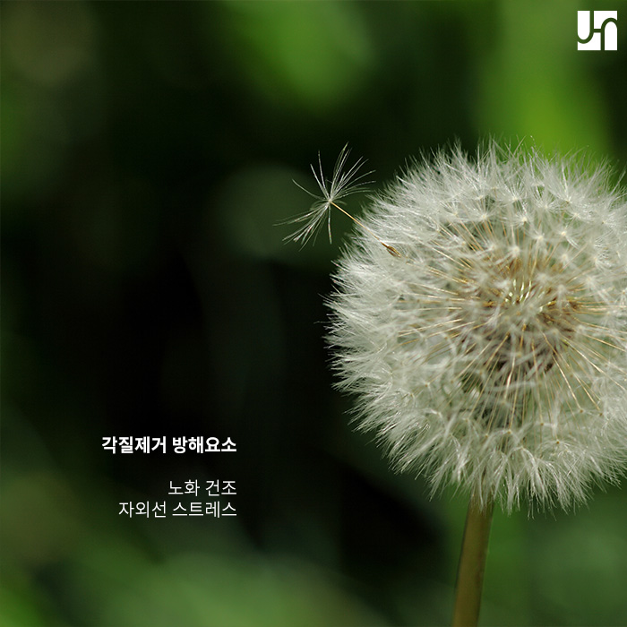 각질 제거하는 필링, 언제 어떻게 해야 할까요? 관련 이미지 2