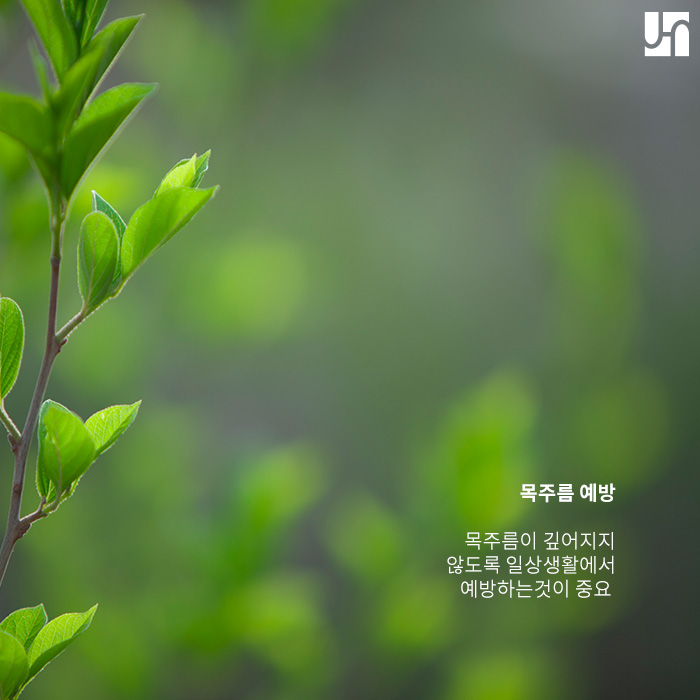 서초역 피부과, 목주름 관리 어떻게 해야 하나요? 관련 이미지 3