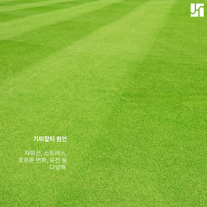 기미잡티제거에 대해 알아보니 관련 이미지 3