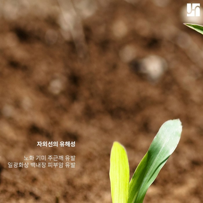 [방배역 피부과] 자외선 차단이 사시사철 중요한 이유 관련 이미지 2