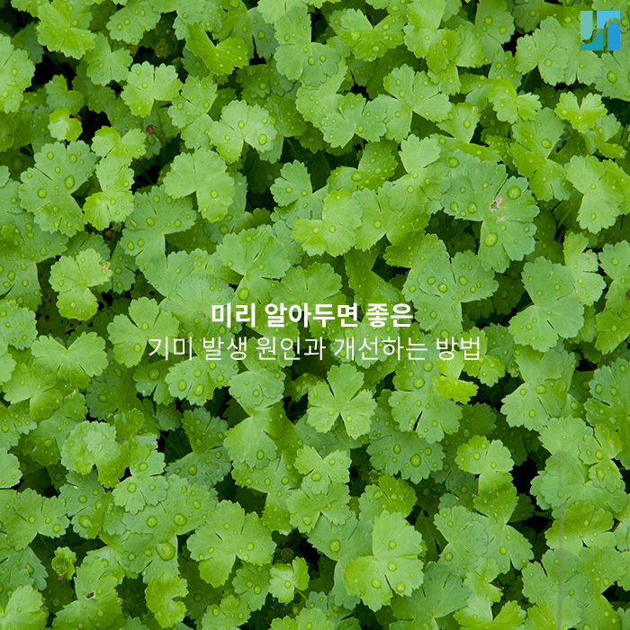 미리 알아두면 좋은 기미 발생 원인과 개선하는 방법 관련 이미지 1