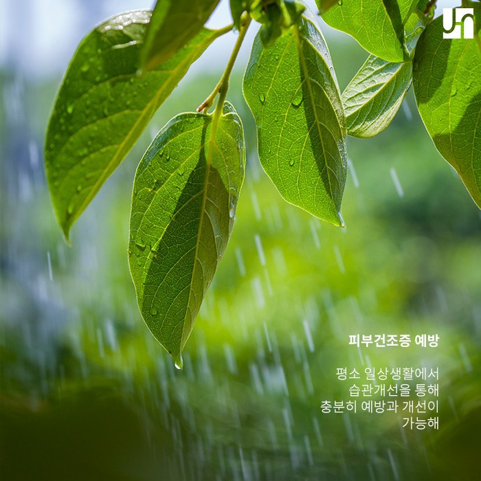 천연 보습 성분 감소로 생기는 피부 건조증, 예방하기 위해선 관련 이미지 4