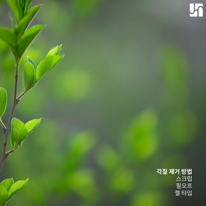 피부를 새롭게 바꿔주는 턴오버를 위해 할 수 있는 일! 관련 이미지 3