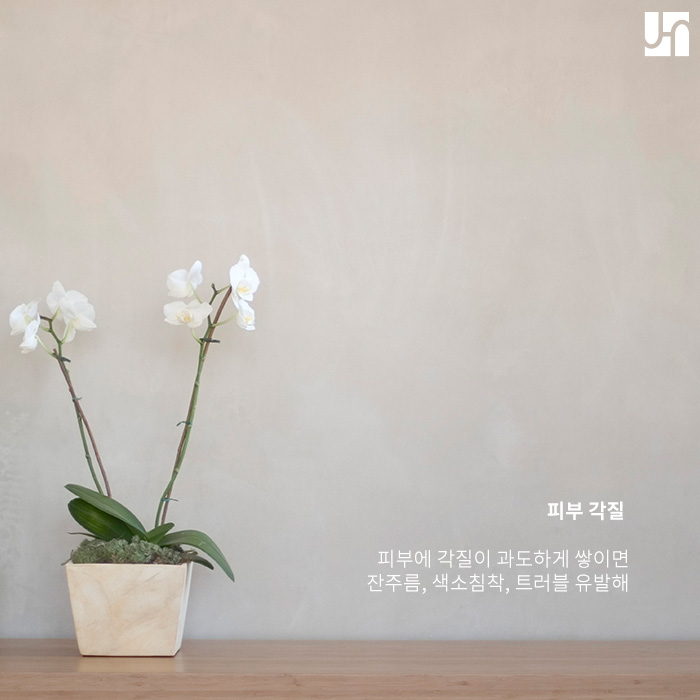 피부 스케일링 효과 및 주의사항이 궁금해요! 관련 이미지 3