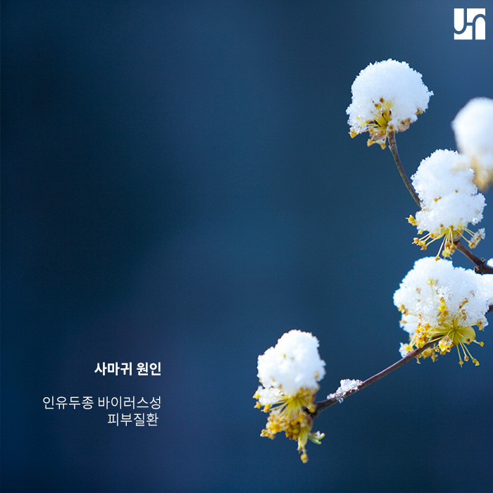 서초역 피부과, 이마에 사마귀가 났다면? 관련 이미지 2