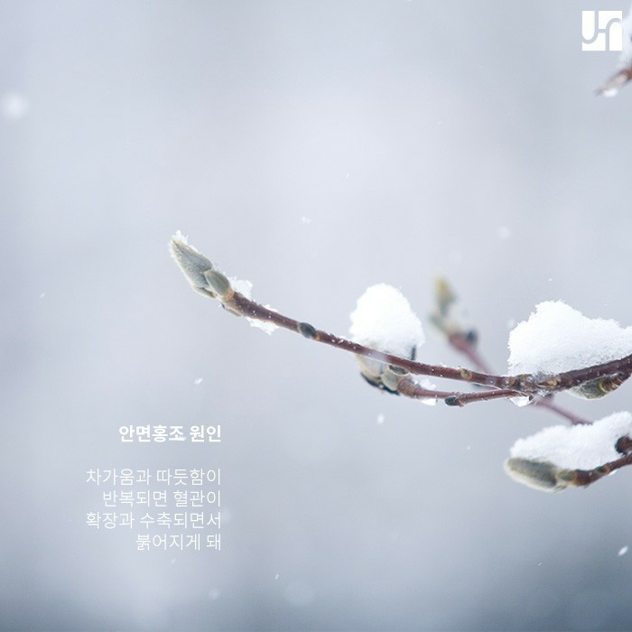 시도 때도 없이 갑자기 붉어지는 얼굴, 안면홍조란 무엇인가요? 관련 이미지 2