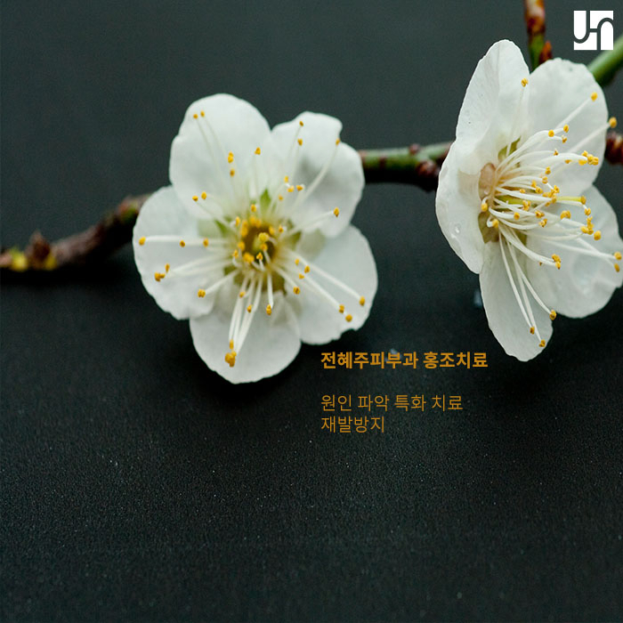 갱년기 여성 피해 갈 수 없는 안면홍조 :: 서초동 전혜주피부과 관련 이미지 5