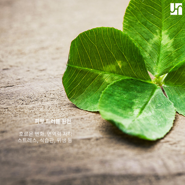 피부 트러블 흉터로 스트레스 받는다면 관련 이미지 2