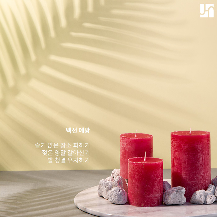 무좀이라고도 불리는 족부 백선, 핀 포인트 레이저로 해결해 봐요! 관련 이미지 3