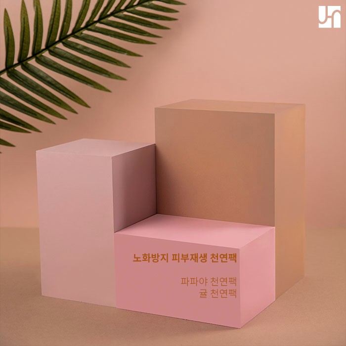 노화방지 천연팩 & 안티에이징 시술 관련 이미지 2