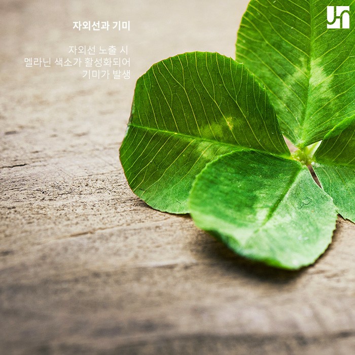 미리 알아두면 좋은 기미 발생 원인과 개선하는 방법 관련 이미지 3