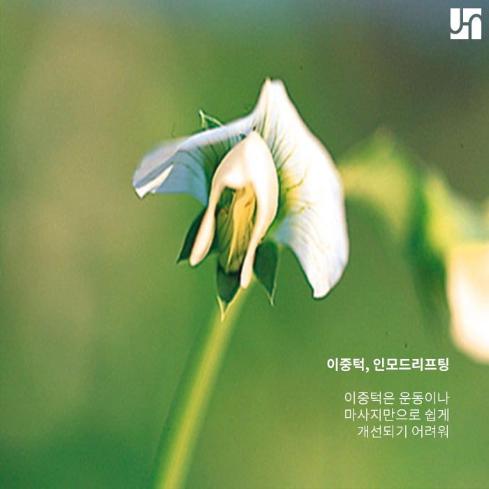 인모드리프팅의 다양한 효과 관련 이미지 3