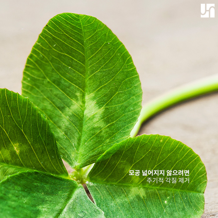 모공 줄이는 법 찾아볼 만큼 찾아봤다면 관련 이미지 2