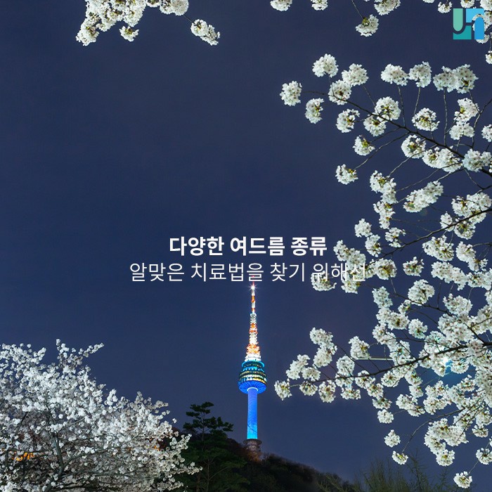 연령별, 성별 다양하게 나타나는 여드름 종류 관련 이미지 1