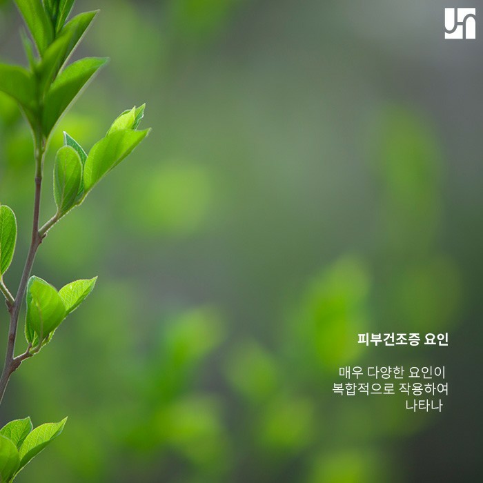 천연 보습 성분 감소로 생기는 피부 건조증, 예방하기 위해선 관련 이미지 2