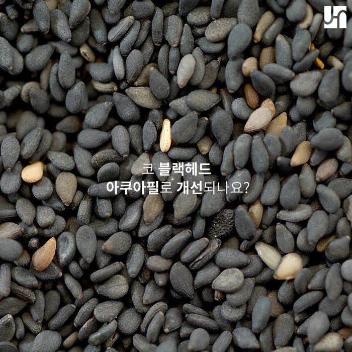 골치 아픈 블랙헤드 효과적으로 관리하는 방법 관련 이미지 1