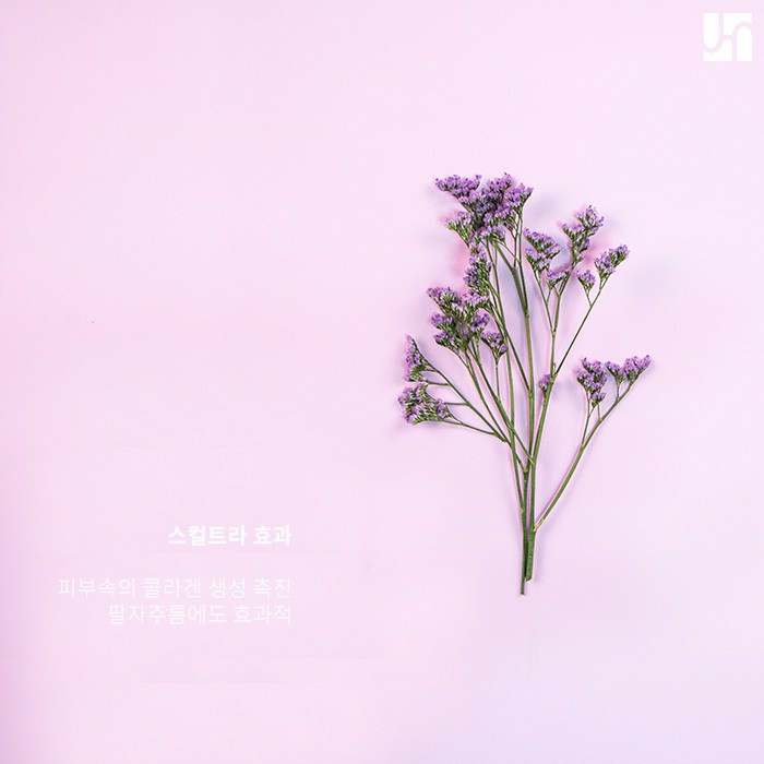 얼굴 탄력 관리가 필요하다면 스컬트라가 있어요! 관련 이미지 3