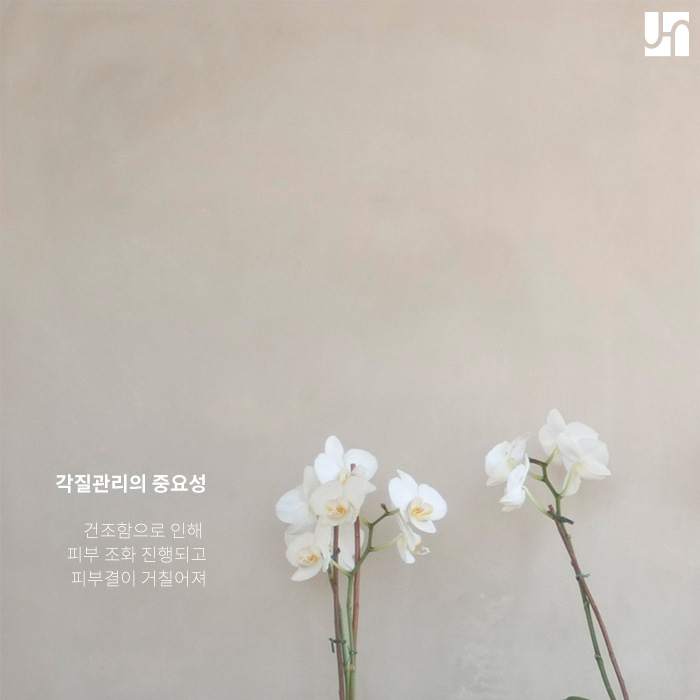 피부를 새롭게 바꿔주는 턴오버를 위해 할 수 있는 일! 관련 이미지 2