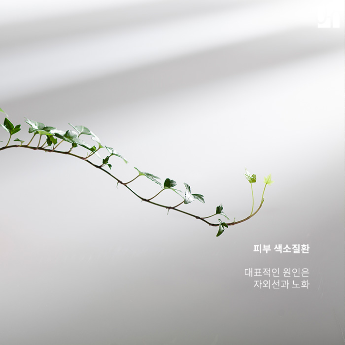 방배역 피부과, 기미와 검버섯의 차이 알아보니 관련 이미지 2