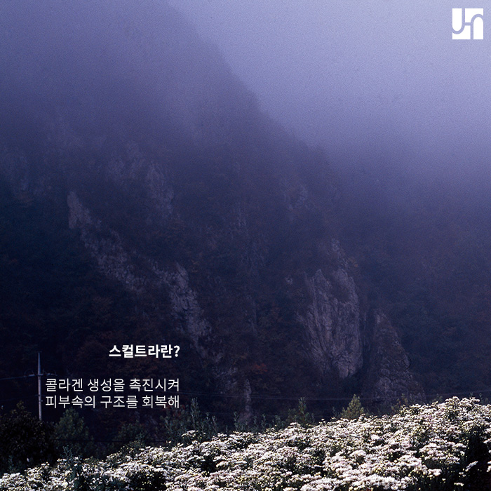 스컬트라, 이마에도 자연스러운 볼륨을 관련 이미지 2