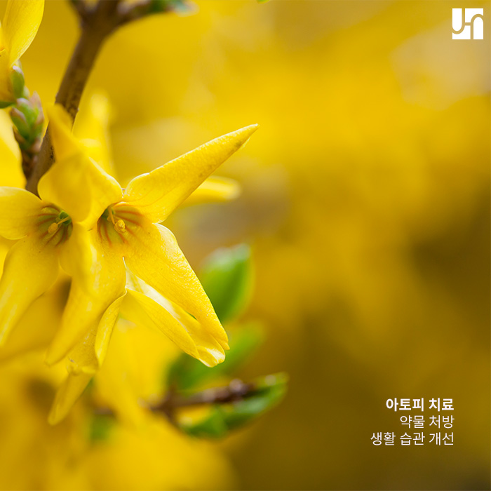 아토피 피부염 발생 원인과 대처법은? 관련 이미지 4