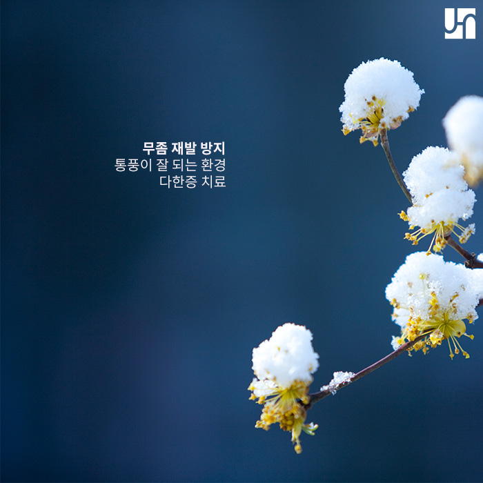 효과적이고 경제적인 무좀 치료, 핀포인트 레이저 관련 이미지 4