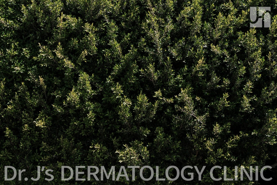 방배동 피부과, 단순포진과 대상포진의 증상 차이, 치료법 관련 이미지 3