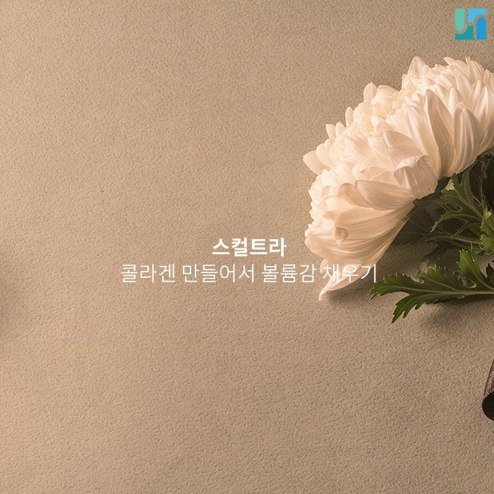 안면 주름 개선하는 스컬트라 섬세하게 시술해야 부작용 없이 효과적! 관련 이미지 1