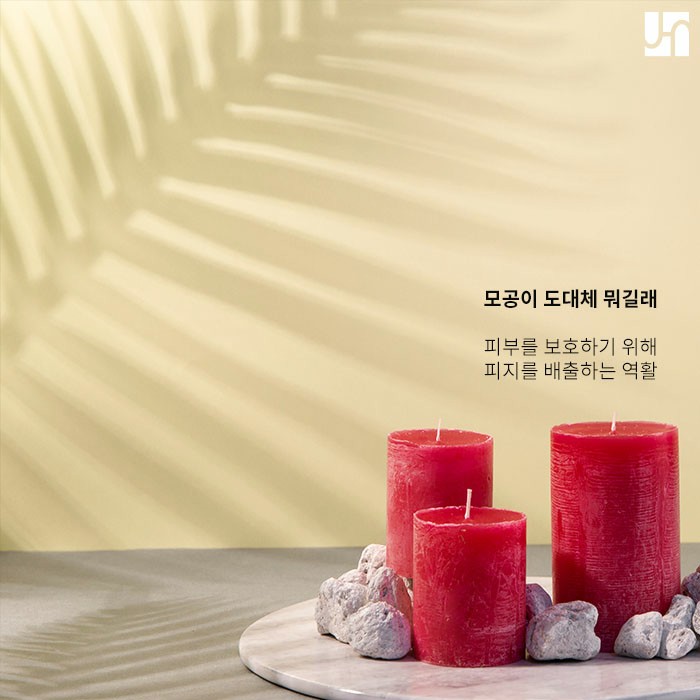 모공이 넓어졌을 때 관리&치료 :: 방배동 피부과 관련 이미지 2