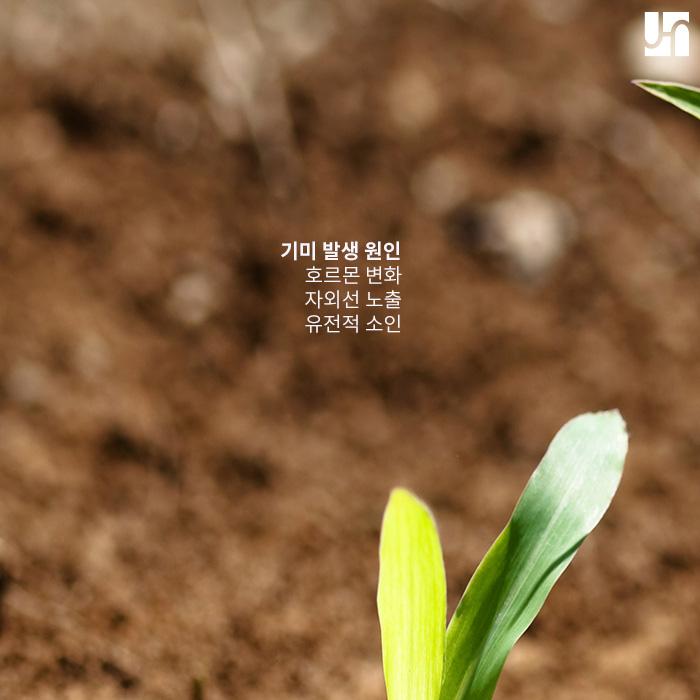 미리 알아두면 있으면 더 좋은 기미 예방법 관련 이미지 2