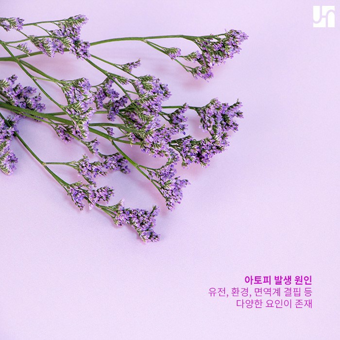 아토피, 너무 미워하지 마세요! 관련 이미지 3