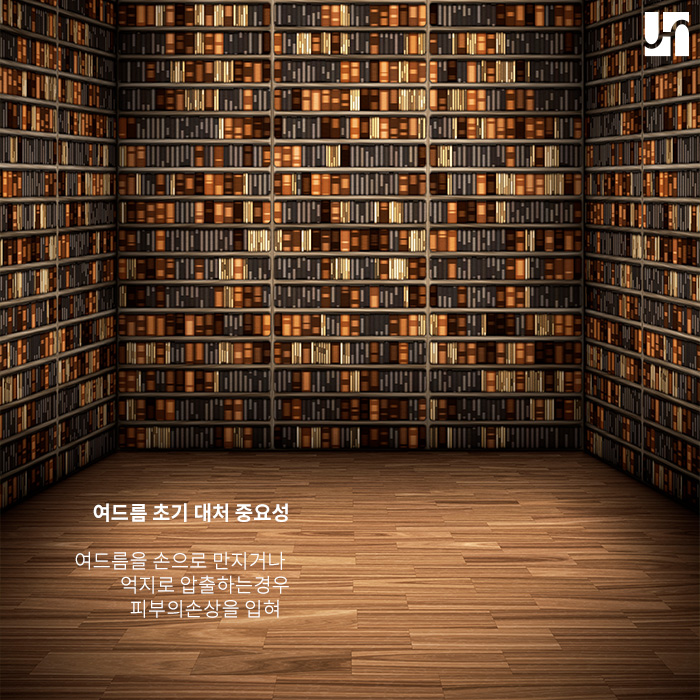 여드름, 붉은 흉터로 남지 않도록 관리하는 법 관련 이미지 3