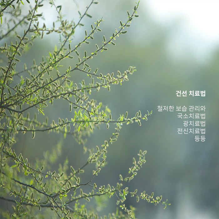 호전과 악화 반복되는 건선, 치료할 수 있을까 관련 이미지 3