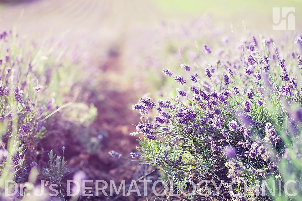 고데기 화상흉터 빠르게 치료하고 없애자 관련 이미지 4