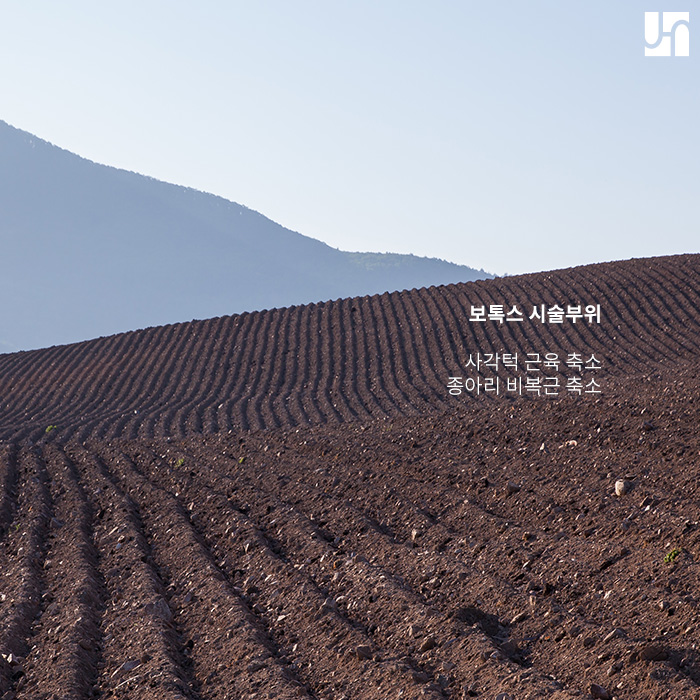 다양한 보톡스 시술 부위, 자신에게 꼭 필요한 것만! 관련 이미지 3