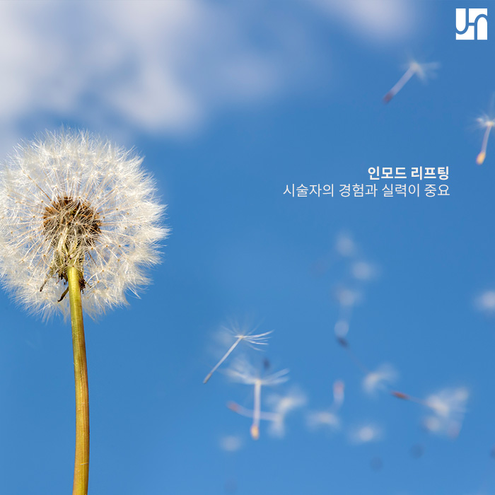 인모드 리프팅으로 피부 탄력과 자신감 업 시키기 관련 이미지 4