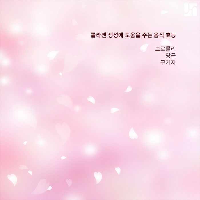 가을철 피부 건강에 좋은 음식 관련 이미지 3