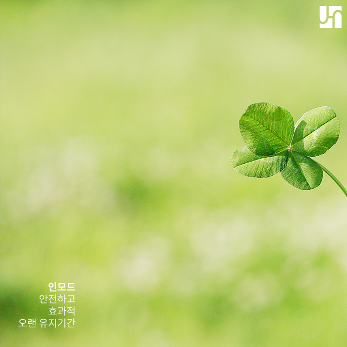 탱탱하고 갸름한 얼굴 갖고싶다면 인모드! 관련 이미지 3