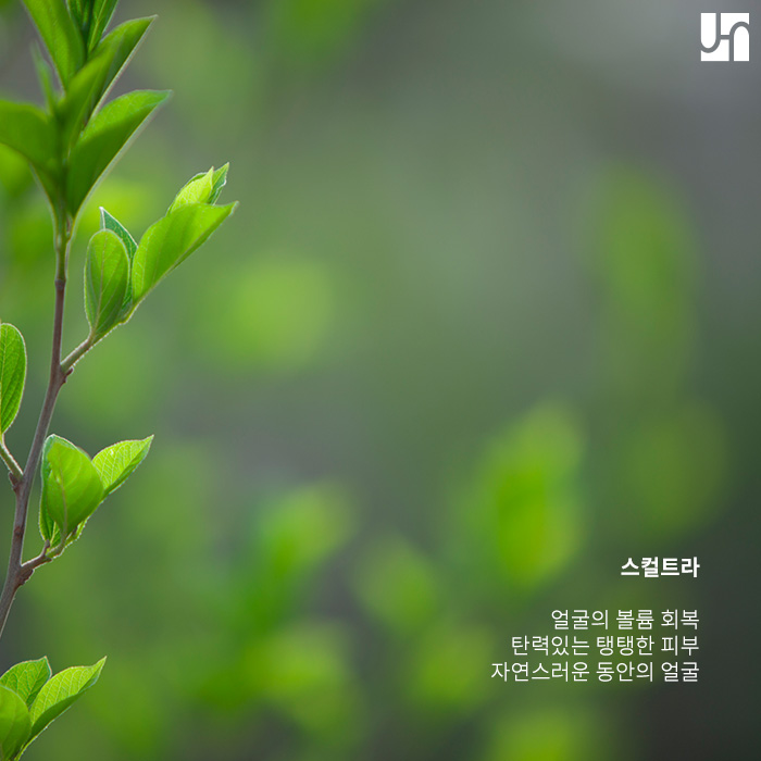 스컬트라, 안전하고 자연스러운 효과를 위해선 ! 관련 이미지 2