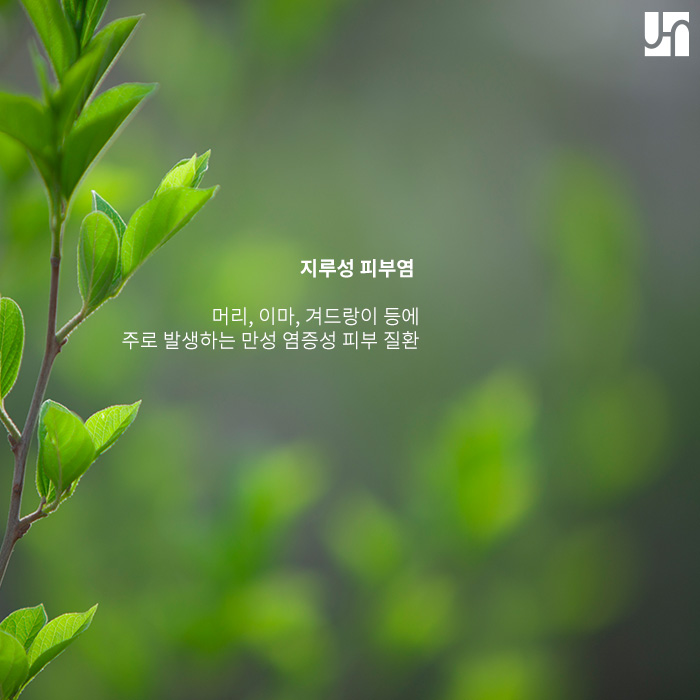 붉고 간지러운 여드름? 지루성 피부염일 수 있어요! 관련 이미지 2