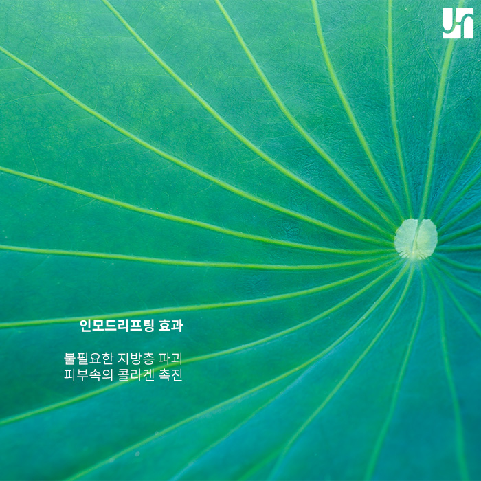 인모드 리프팅 효과 좋은가요? 관련 이미지 3